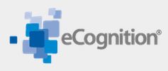 ecognition